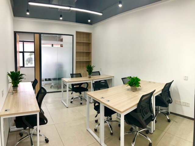 无锡石家庄鼠尾胶原